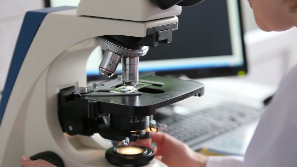 Microbiology Laboratory Work With Microscope