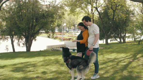 A happy couple in love sitting on the grass and playing with their cute husky.