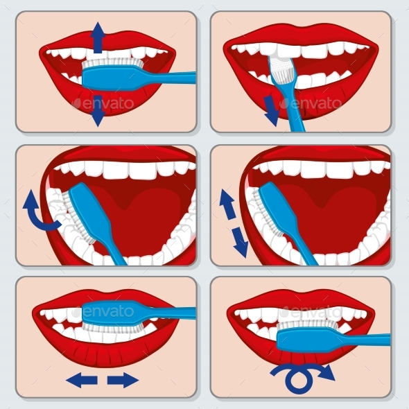 Correct Tooth Brushing Infographics - Health/Medicine Conceptual