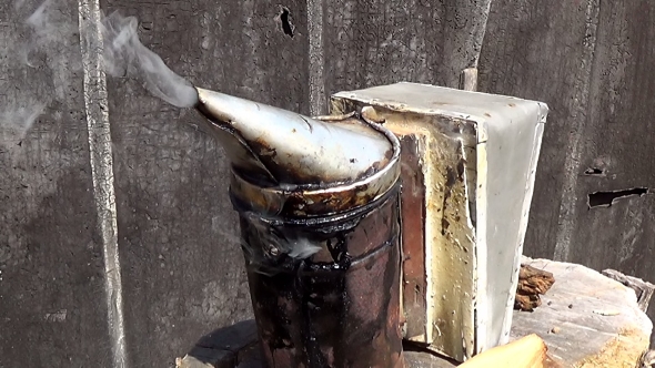 Smoker - One Of The Main Instruments Of The Beekeeper. Its Smoke Pacify Bees.