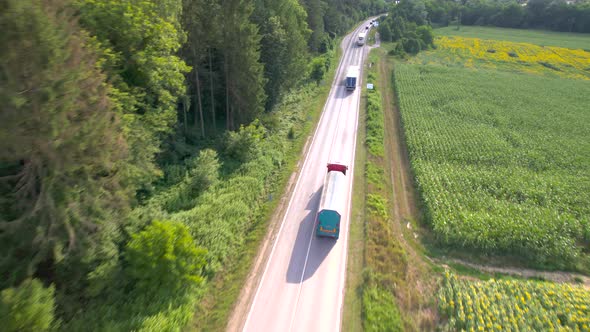 Trucks Driving Near Sunflower Fields in the Summer alt