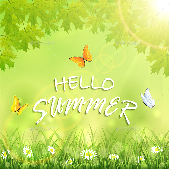 Butterflies and Inscription Hello Summer - Seasons Nature