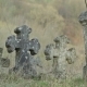 Graves In a Very Old Cemetery - VideoHive Item for Sale