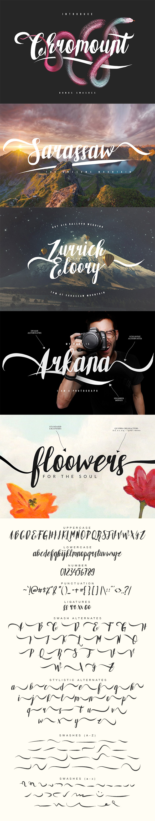 Chromount Typeface - Handwriting Fonts