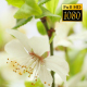 Beautiful Cherry Blossom 13 - VideoHive Item for Sale