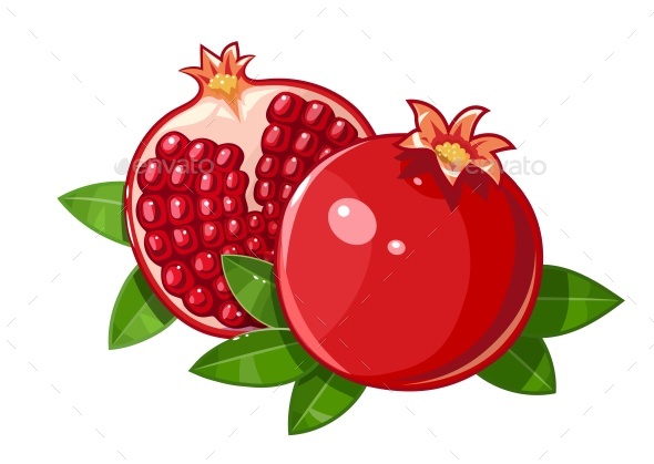 Pomegranate Fruit with Stylized Leaf - Food Objects
