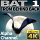 Bat 1 - VideoHive Item for Sale
