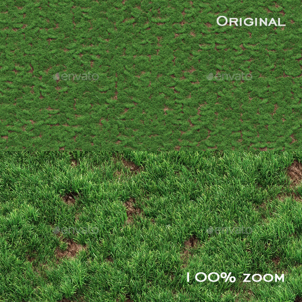 Grass seamless texture - 3Docean 15792450
