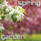 Spring Blossoming Garden Spring Blossoming Garden - VideoHive Item for Sale