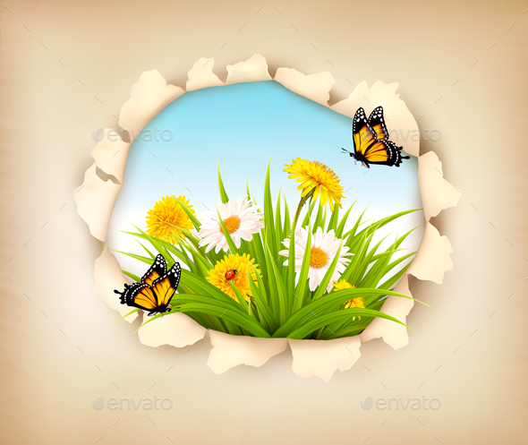 Hole in Paper Revealing a Spring Background - Flowers & Plants Nature