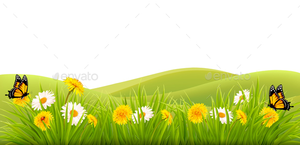 Spring Background with Grass Flowers and Butterflies - Landscapes Nature
