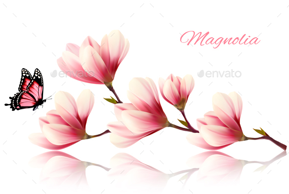 Nature Background with Blossom Branch of Pink Magnolia - Flowers & Plants Nature