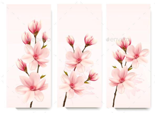 Three Magnolia Banners - Flowers & Plants Nature
