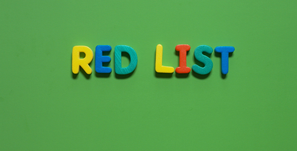 The Word Red list