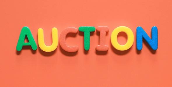 Put the Word Auction