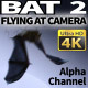 Bat 2 - VideoHive Item for Sale