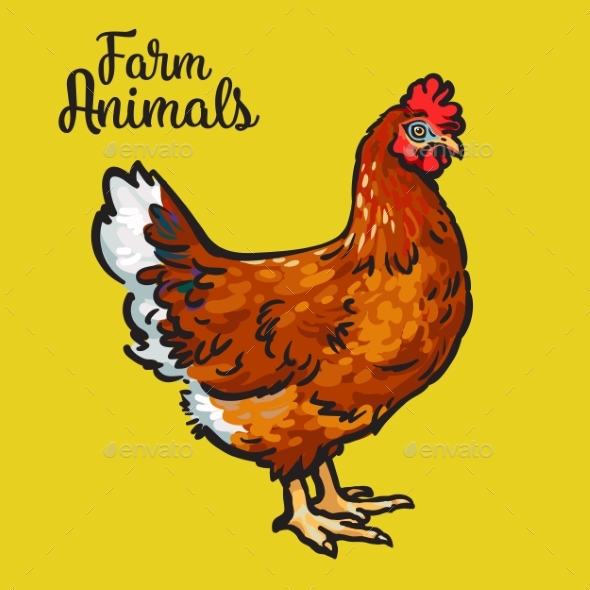 Chestnut Colored Chicken - Animals Characters