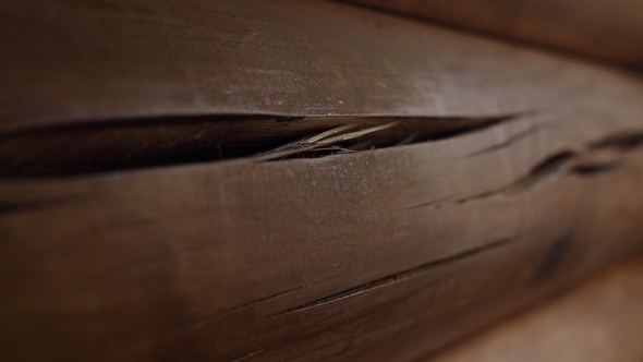 The Cracks on the Logs alt