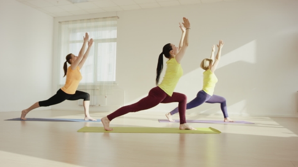 Young Woman Is Practicing The Downward Facing Dog Pose alt