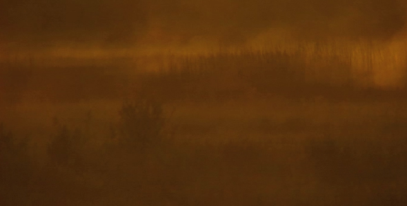 Mist Through Reeds at Sunrise 2