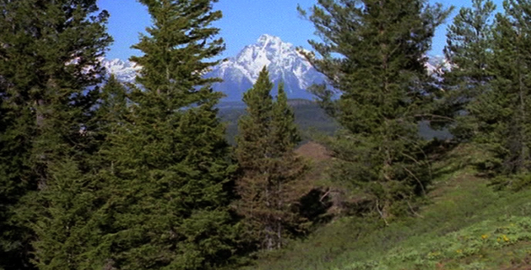 Pan L-R of Forest and Mountain