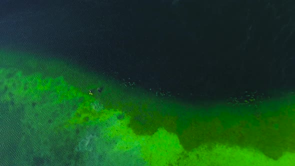Top View of a Clear Cold Green Lake. Divers in Suits Swim in Clear, Clear Water, Aerial View