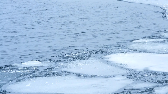 Melting Floes Of Ice Floating On Water Surface With Waves