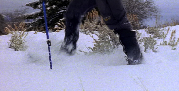 Snowshoeing in Grand Tetons