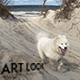 Dog on the Sea - VideoHive Item for Sale