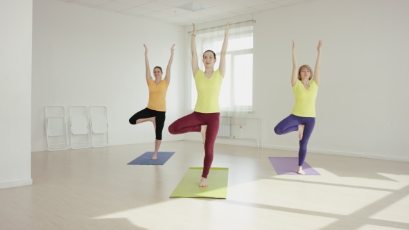 Slender Fit Women Doing Yoga On Exercise  alt