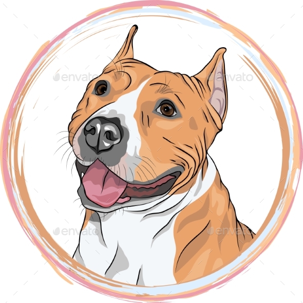 Vector Sketch Smiling Dog American Staffordshire - Animals Characters
