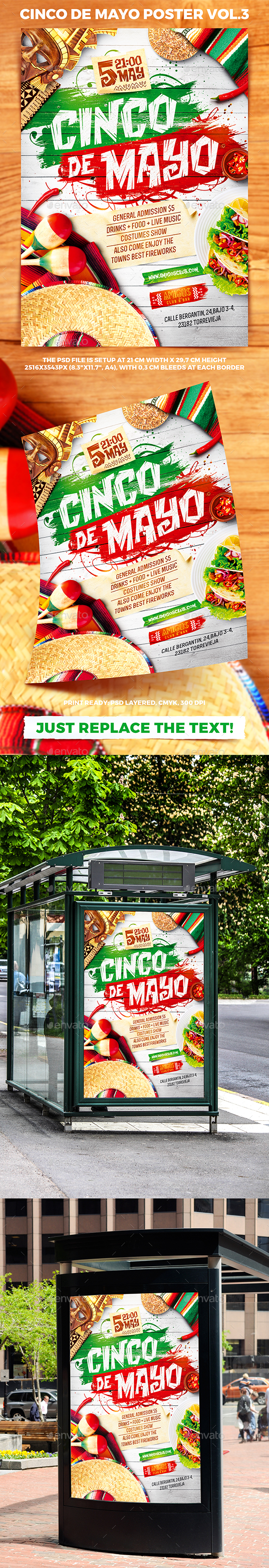 Cinco de Mayo Party Poster vol.3 - Holidays Events