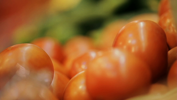 Tomatoes on the Market Showcase