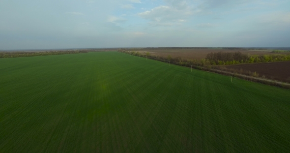 Spring Green Field Of Agriculture Aerial View