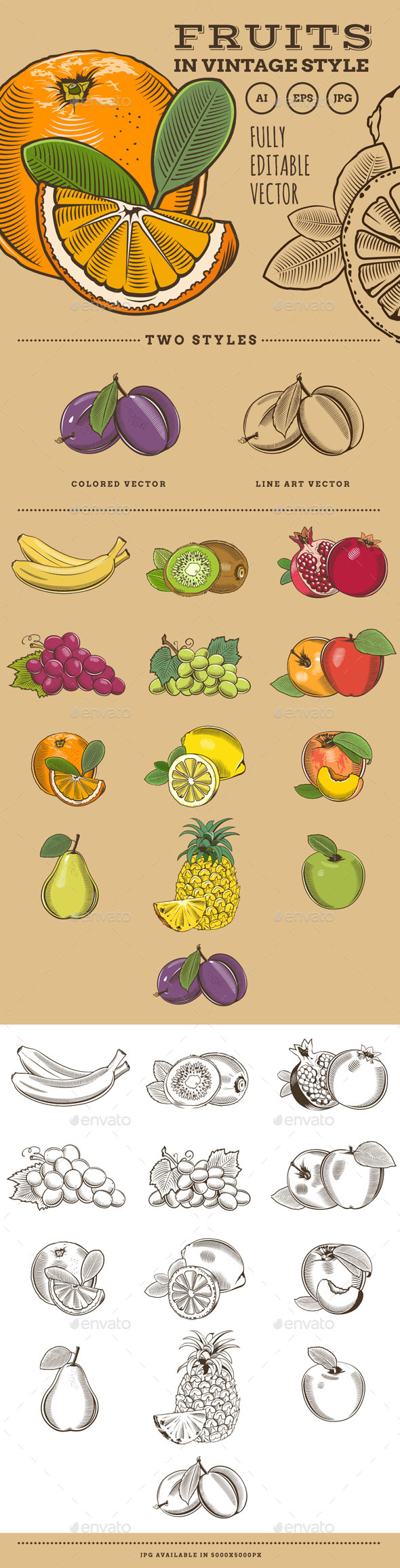 Fruits in Vintage Style