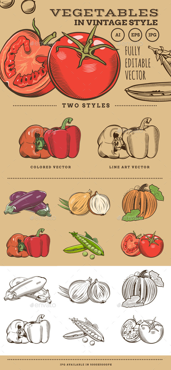 Vegetables in Vintage Style - Food Objects