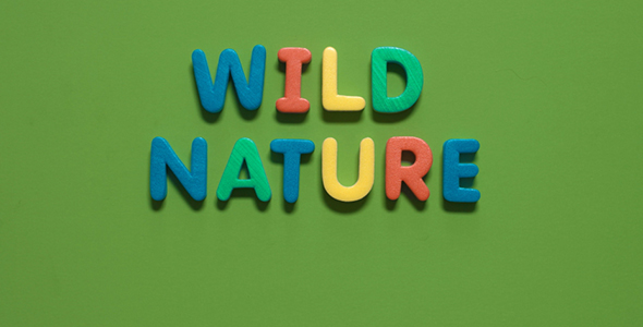 Collect Words Wild Nature