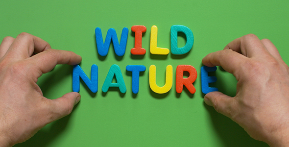 The Word Wild Nature