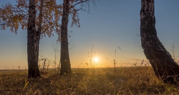 Meadow Timelapse at the Summer or Autumn Time alt