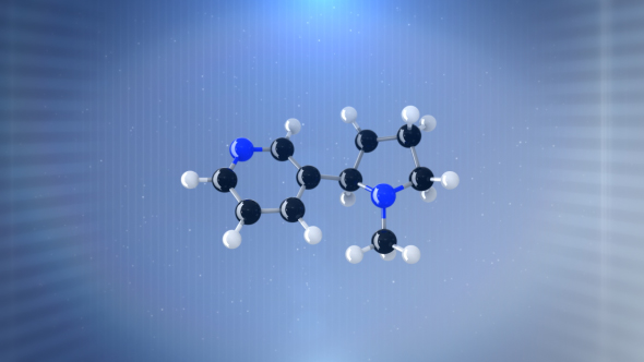 3D Molecule(Nicotine)