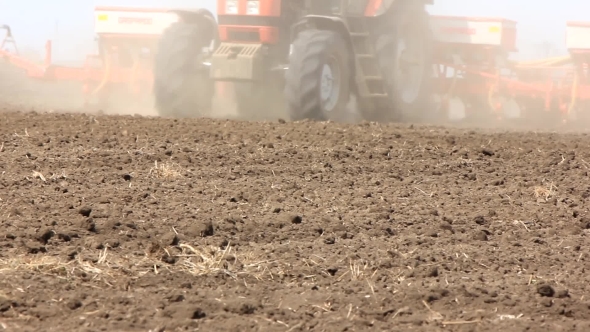 Tractor Sowing Sunflower In a Field