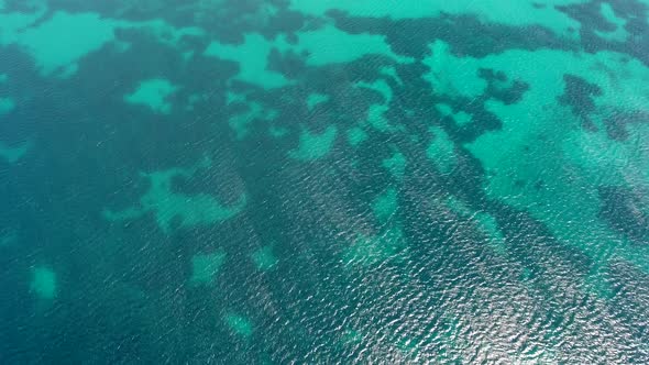 Seaweed and Coral Reef on a Clear Tropical Shallow Sea Floor With White Sand alt