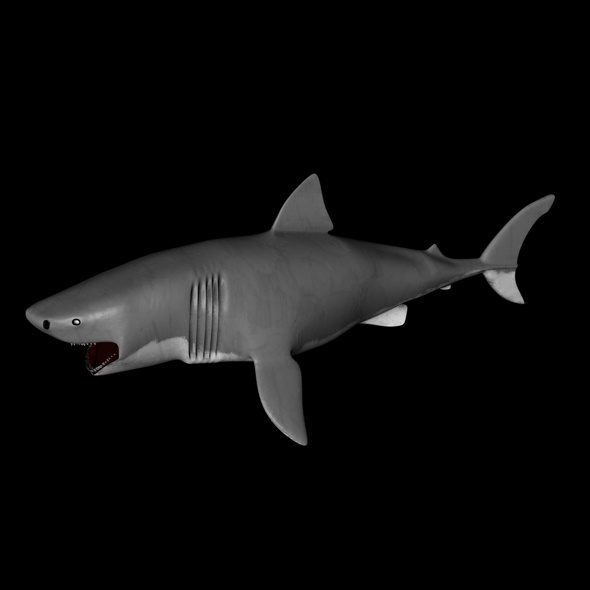 sharks 3d only one eye