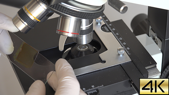 Scientist Using a Microscope In Laboratory 05