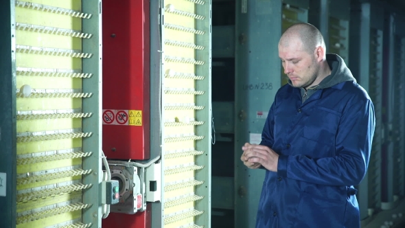 Farmer Working On Chicken Farm alt