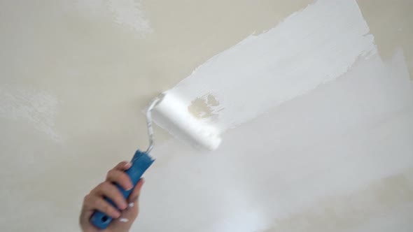 Worker Paints Ceiling White Paint, Home Renovation