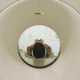 Woman Moving in MRI Machine - VideoHive Item for Sale