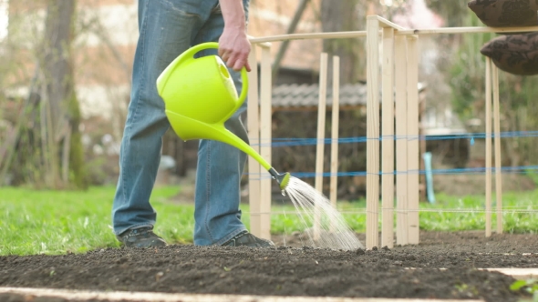 Man Watering Freshly Landscaped Garden alt