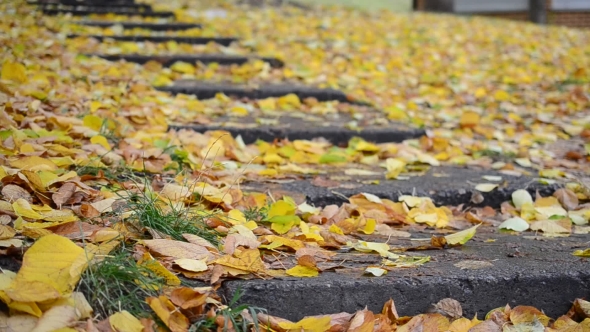 Feet Of Teenager Or Woman Walking Upstairs In Boots In Autumn