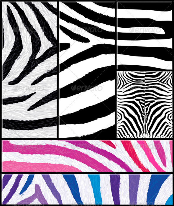 Zebra Pattern Set with Variations - Patterns Decorative